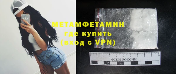 сатива Гусь-Хрустальный