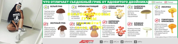 спиды Вяземский