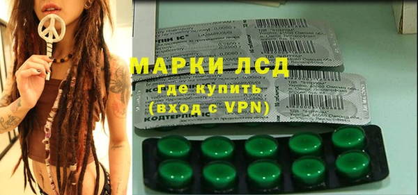 спиды Вяземский