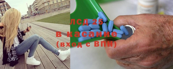 спиды Вяземский