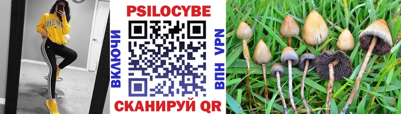 Псилоцибиновые грибы мухоморы  Купить  Лениногорск 
